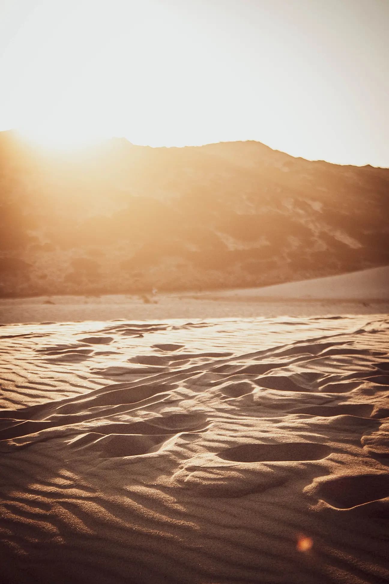 Alentejo Guide